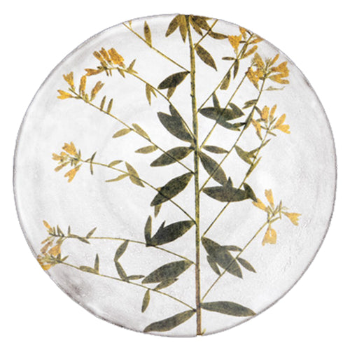 john derian Genista Plate Add to cart Assiette Genista Details 9.4" Diameter x .8 Deep Glazed terracotta Made in Paris Care Dishwasher safe on a moderate wash cycle. Not microwave safe. Image Origin Pressed leaves Holland 1750.