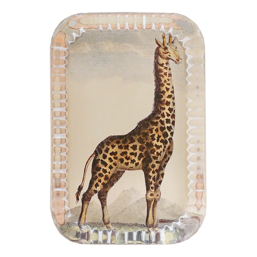john derian Giraffe Pl. 290 Dotted Edge Large Paperweight