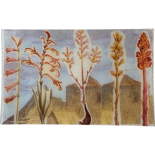 john derian Gladiolas in Town (Collage) 10 x 16" Rect. Tray