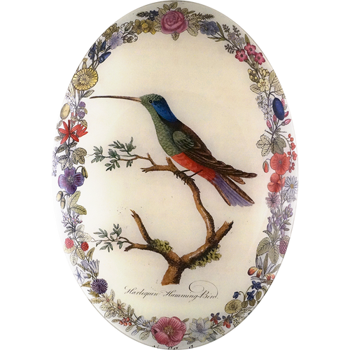 john derian Harlequin Hummingbird with Flowers (Convex) 13 x 18" Oval