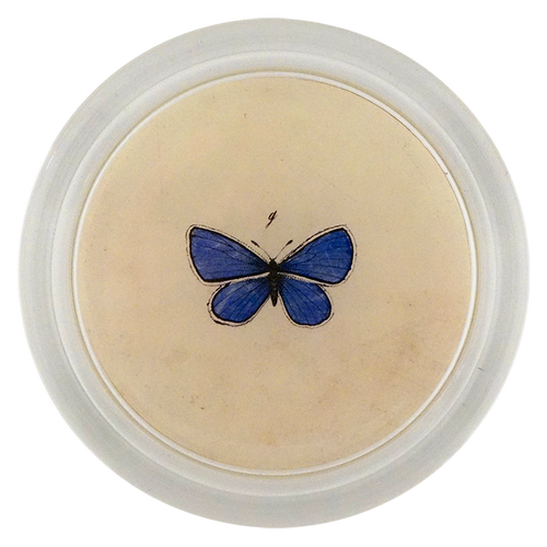 john derian Holy Blue Gossamer Wings Butterfly 6" Coaster