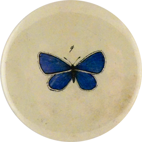 john derian Holy Blue Gossamer Wings Butterfly Mirror & Pin