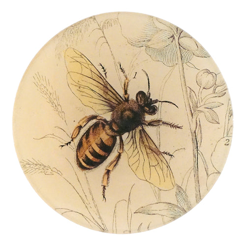 john derian Honey Bee (Facing Right) 5 1/4" Round Plate
