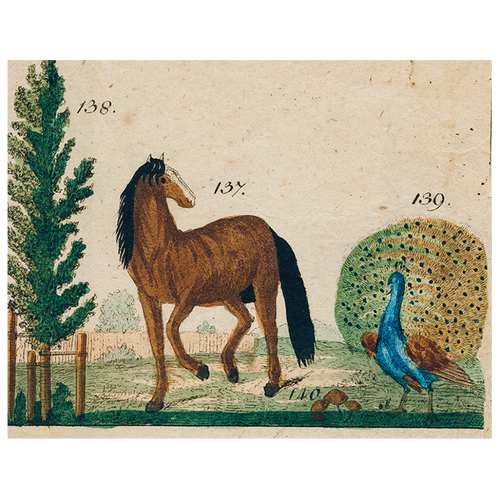 john derian Horse and Peacock (p 277) 11" x 14" Rect. Tray