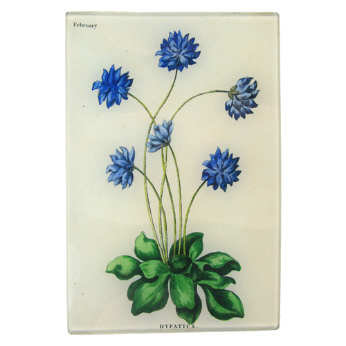 john derian Hypatica (Bowles Florists) 6 x 9" Rect. Tray