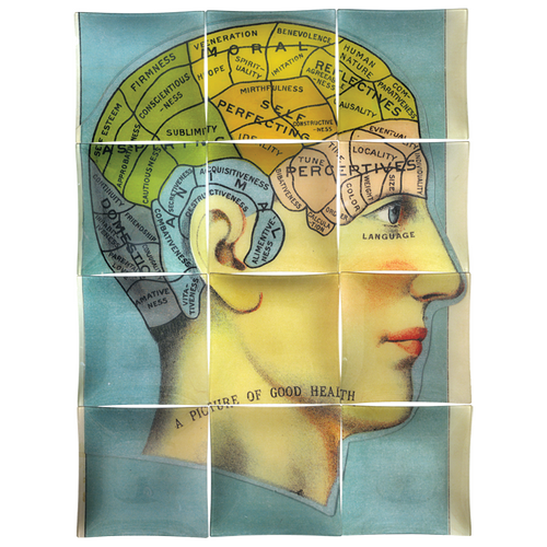 john derian In Good Health (Phrenology Head) Include free plate hanger Add to cart 12 Pieces 8" Squares Entire piece approximately 26" x 34" Details Handmade to order in our New York City studio Collaged paper under handblown gl