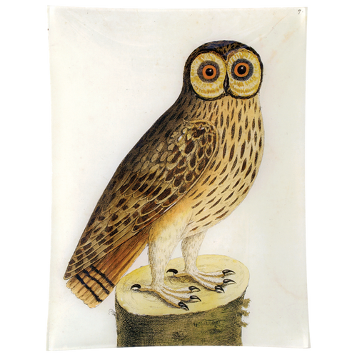 john derian #1 - Great Brown Owl 10" x 13" Rect. Tray