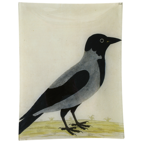 john derian #10 - Royston Crow 10" x 13" Rect. Tray