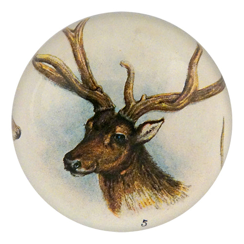 john derian 11 Tipped Deer Dome Paperweight