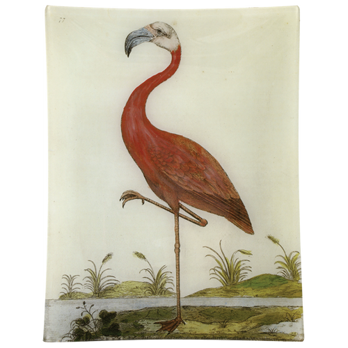 john derian #13 - Flamingo 10" x 13" Rect. Tray