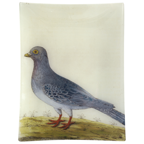 john derian #14 - Wild Dove/Pigeon 10" x 13" Rect. Tray