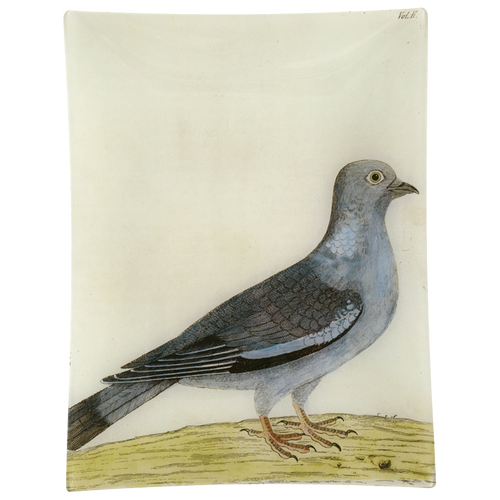 john derian #15 - Stock Dove 10" x 13" Rect. Tray