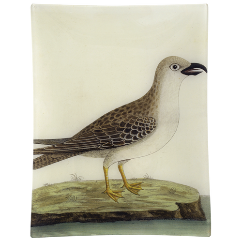 john derian #16 - Great Gray Gull 10" x 13" Rect. Tray