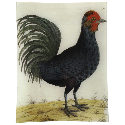 john derian #17 - Hamburg Cock 10" x 13" Rect. Tray