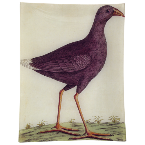 john derian #18 - Purple Bird 10" x 13" Rect. Tray
