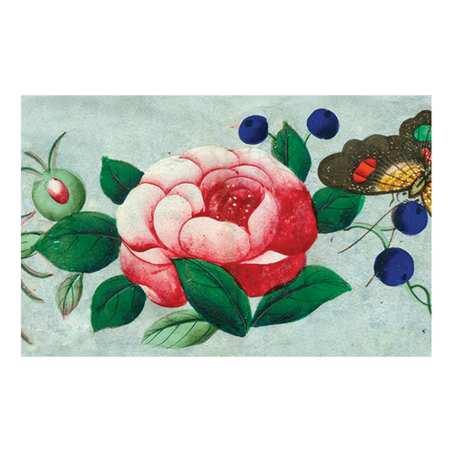 john derian 18c. Fan Detail Postcard (Pack of 10)