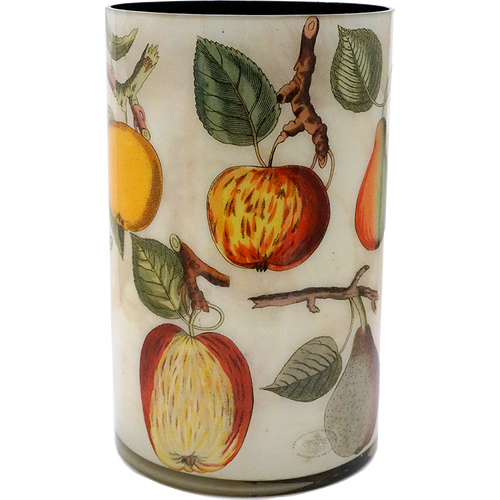 John Derian 18c. Fruit 16" Cylinder Vase W/ Liner