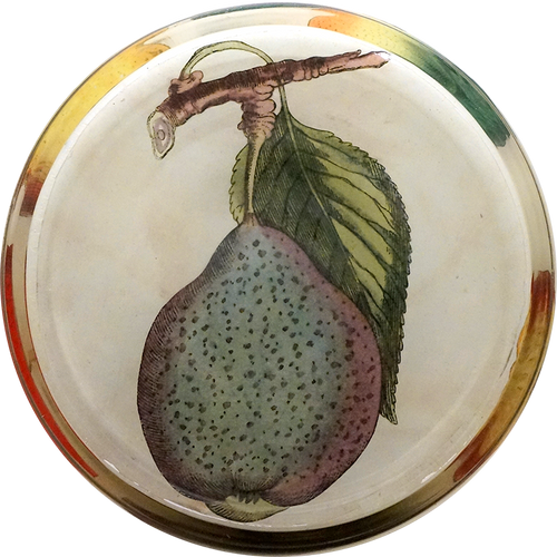 John Derian 18c. Fruit 16" Cylinder Vase W/ Liner