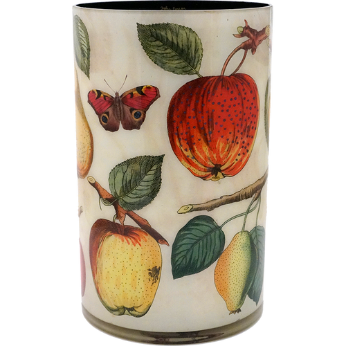 john derian 18c. Fruit 16" Cylinder Vase w/ Liner
