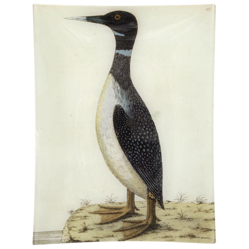 john derian #19 - Speckled Loon 10" x 13" Rect. Tray