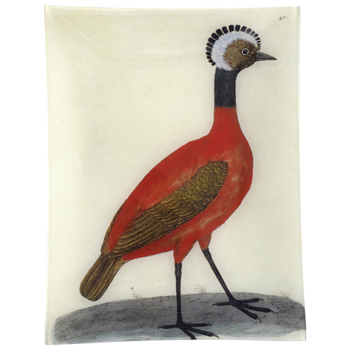 john derian #2 - Red Peruvian Hen 10" x 13" Rect. Tray
