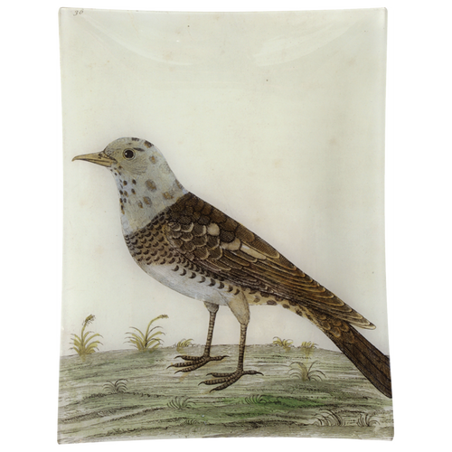 john derian #21 - Pied Fieldfare 10" x 13" Rect. Tray
