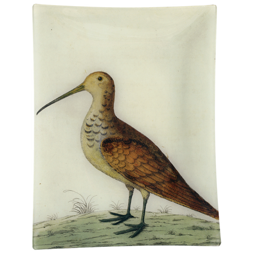 john derian #22 - White Woodcock 10" x 13" Rect. Tray