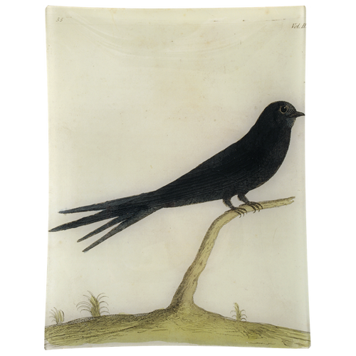 john derian #23 - Swift Bird 10" x 13" Rect. Tray