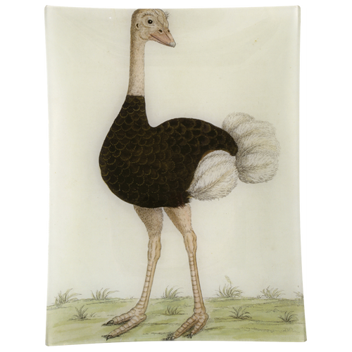 john derian #24 - Ostrich 10" x 13" Rect. Tray