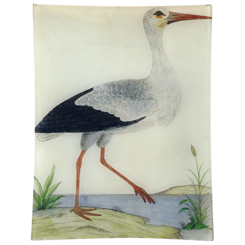 john derian #25 - Stork 10" x 13" Rect. Tray