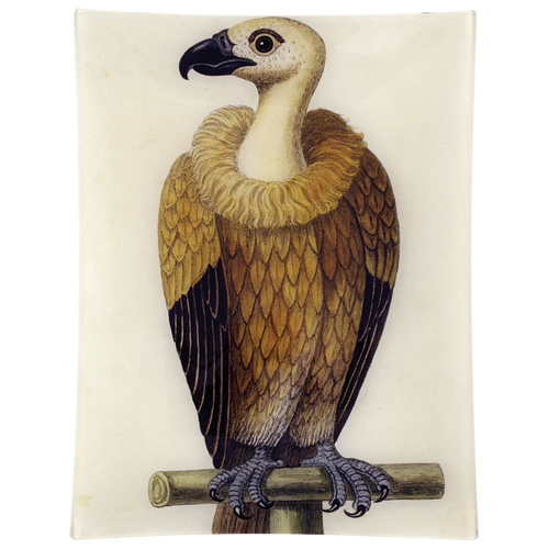 john derian #26 - Vulture 10" x 13" Rect. Tray
