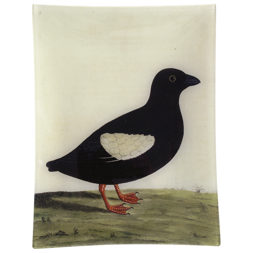 john derian #27 - Greenland Dove 10" x 13" Rect. Tray