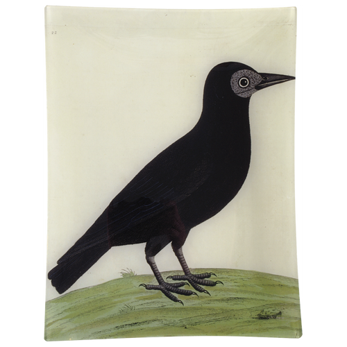 john derian #28 - Rook 10" x 13" Rect. Tray