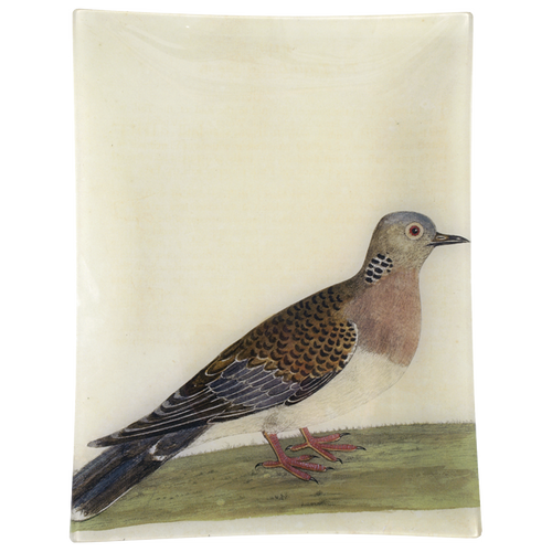 john derian #29 - Turtle Dove 10" x 13" Rect. Tray