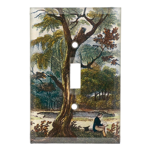 John Derian #3 Expandable Empire Switch Plate Cover