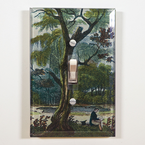 john derian #3 Expandable Empire Switch Plate Cover