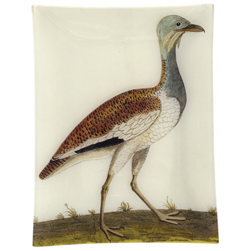 john derian #3 - Female Bustard 10" x 13" Rect. Tray