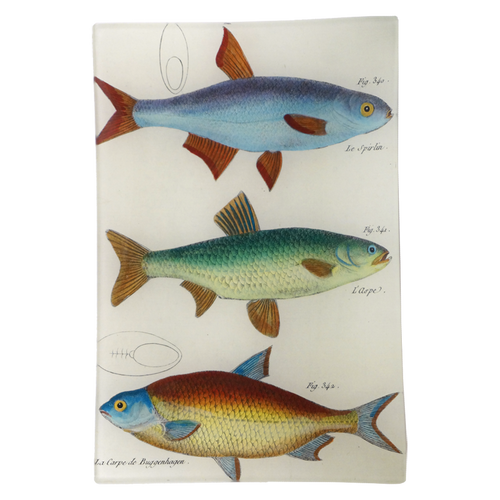 john derian 3 Fish Planche 82 6 x 9" Rect. Tray