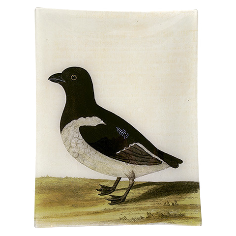 john derian #30 - Black & White Bird 10" x 13" Rect. Tray