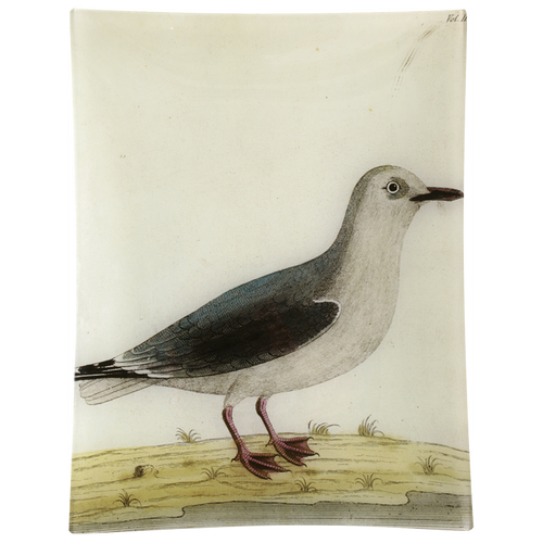 john derian #32 - White Gull 10" x 13" Rect. Tray