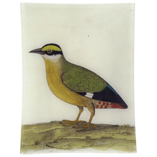 john derian #33 - Good Hope Quail 10" x 13" Rect. Tray