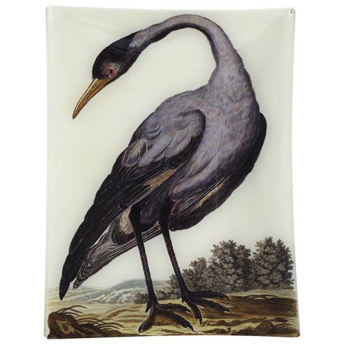 john derian #36 - Crane 10" x 13" Rect. Tray