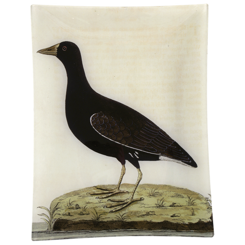 john derian #37 - Female More-Hen 10" x 13" Rect. Tray