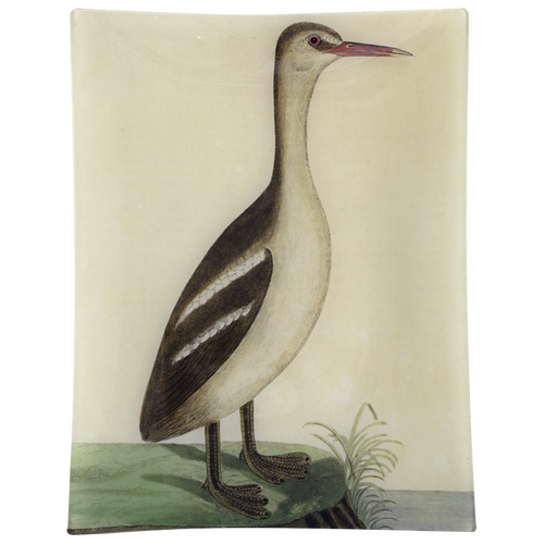 john derian #39 - Great Sea Loon 10" x 13" Rect. Tray