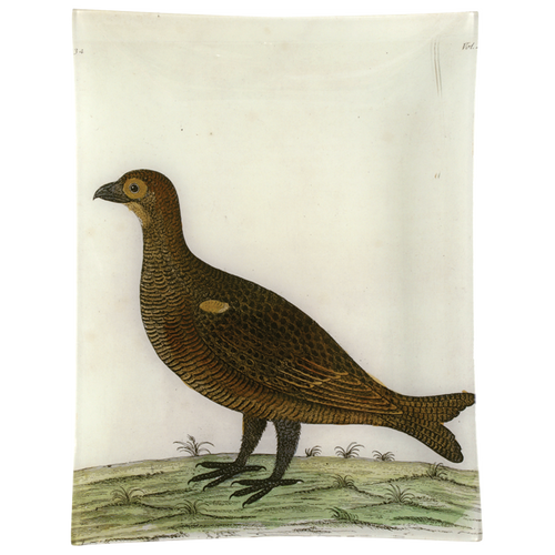 john derian #4 - Game Hen 10" x 13" Rect. Tray