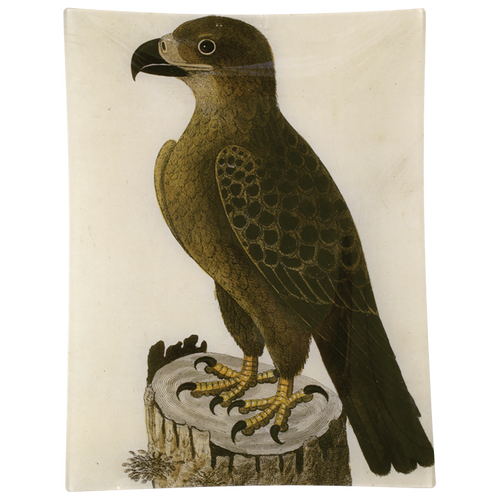 john derian #40 - Golden Eagle 10" x 13" Rect. Tray