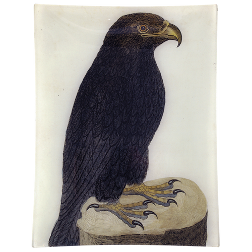 john derian #41 - Black Eagle 10" x 13" Rect. Tray