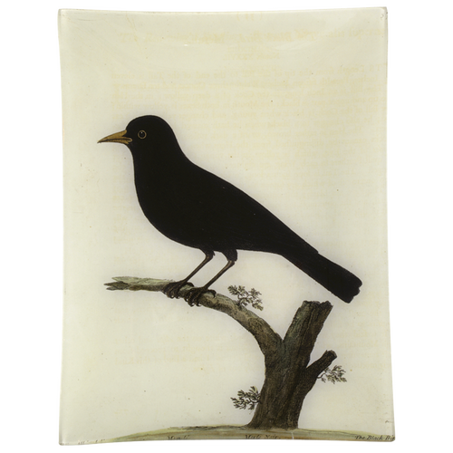 john derian #42 - Black Bird 10" x 13" Rect. Tray