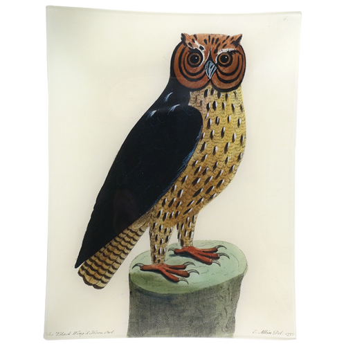john derian #44 - Horn Owl 10" x 13" Rect. Tray