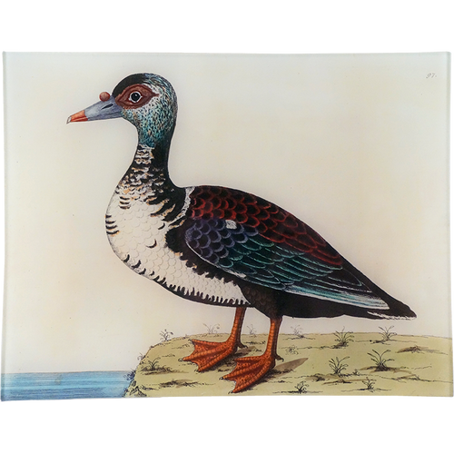 john derian #48 - Muscovy Duck 10" x 13" Rect. Tray